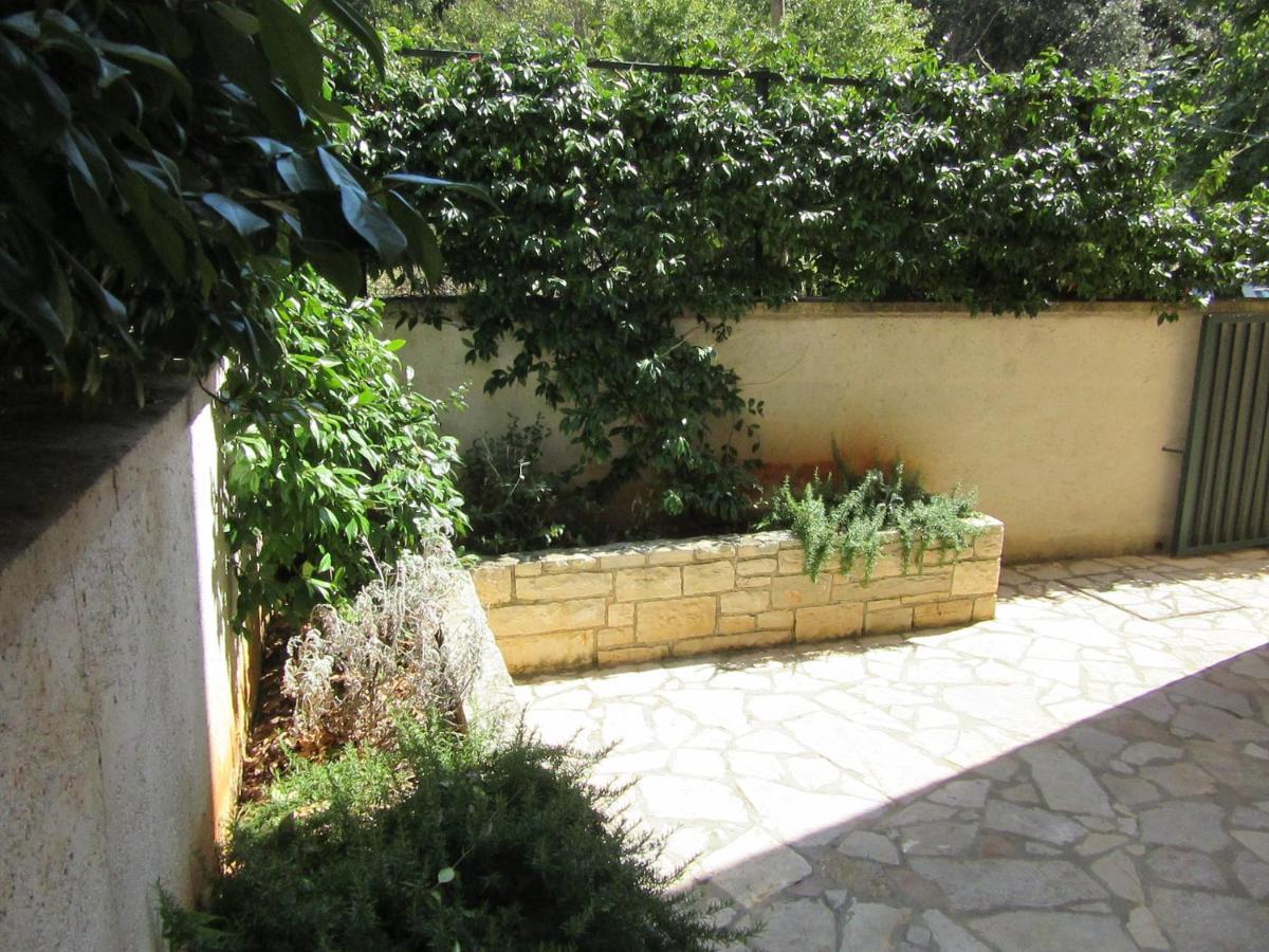 רוביני Villa Ema מראה חיצוני תמונה