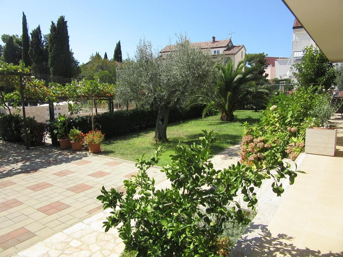 רוביני Villa Ema מראה חיצוני תמונה