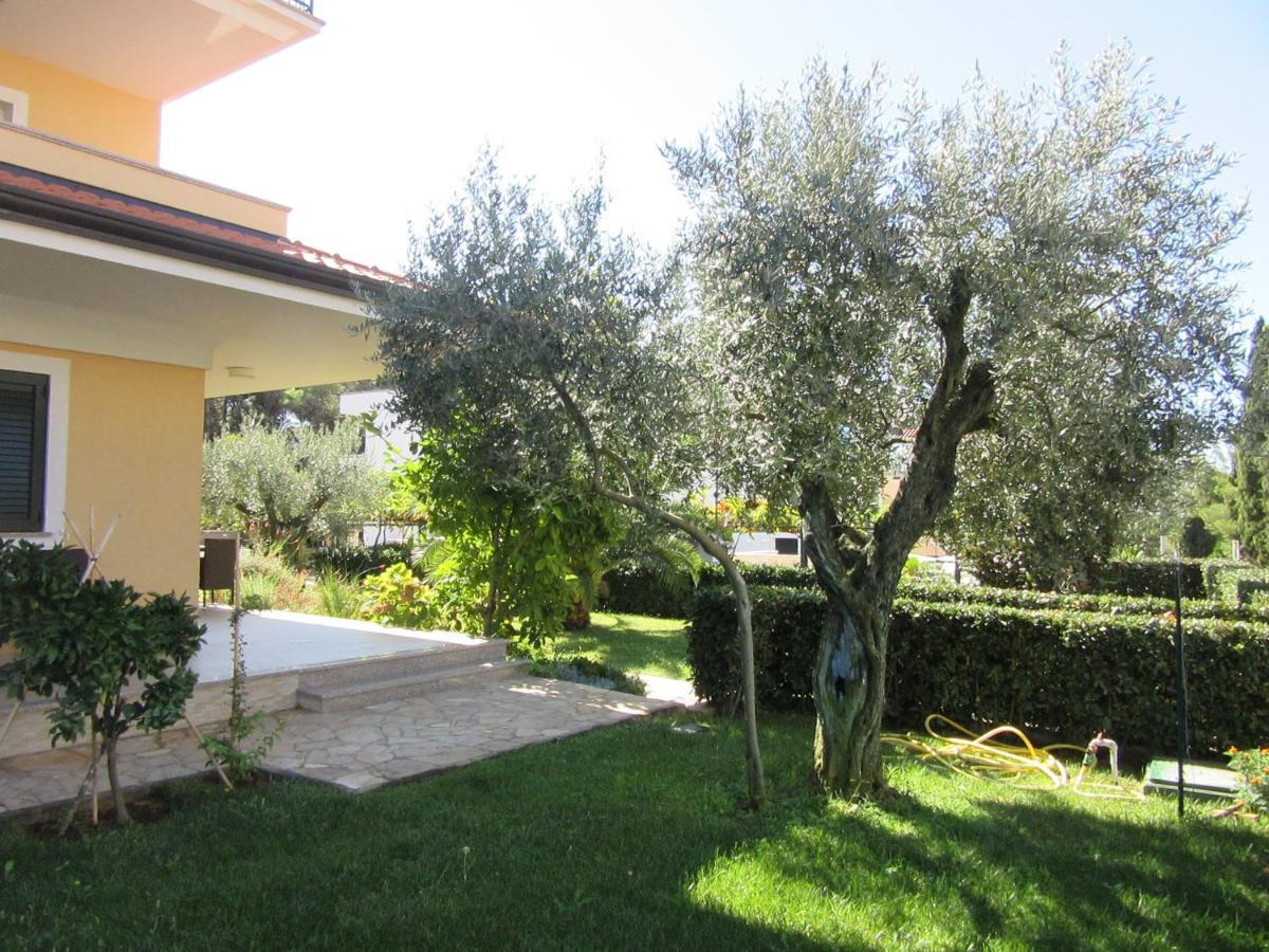 רוביני Villa Ema מראה חיצוני תמונה